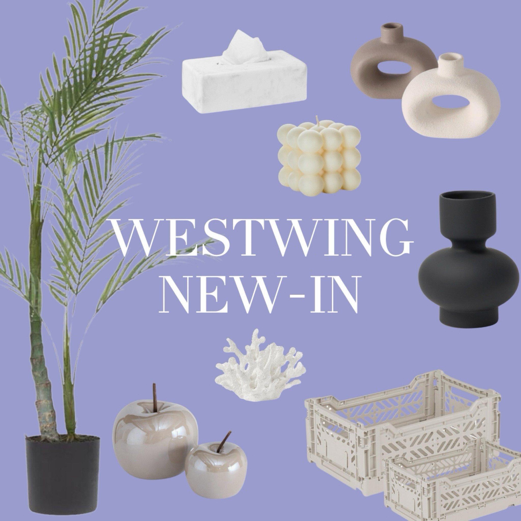 WEST WING NEUHEITEN 🥰