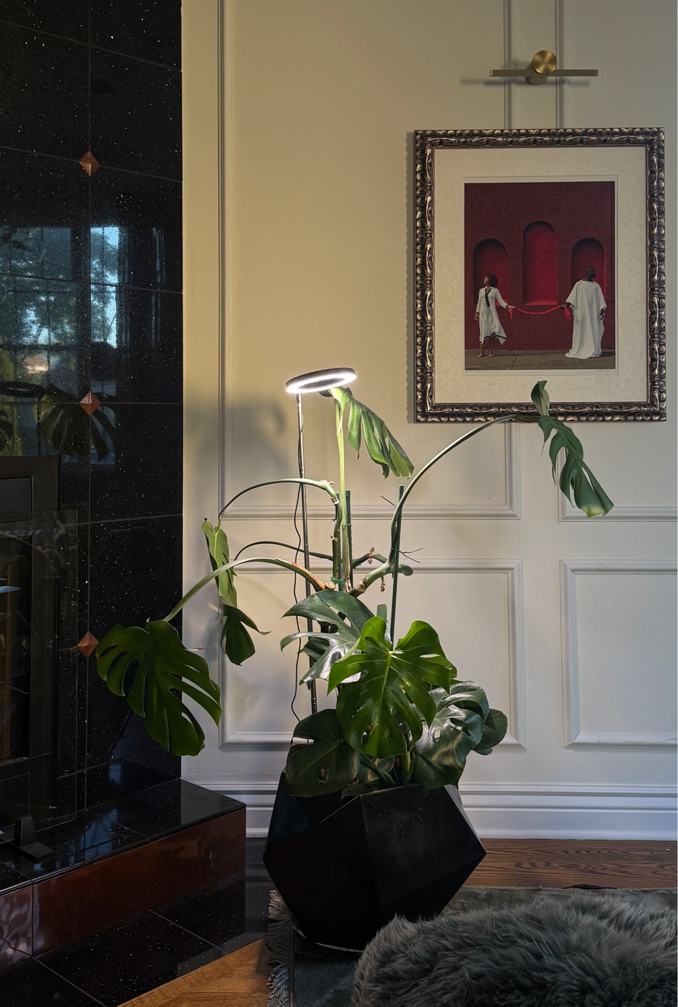 Grow light for my indoor plants + art lights to enhance your walls

#LTKHome
