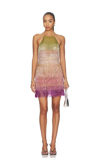 For Love & Lemons Tropic Crush Mini Dress in Multi. - size S | Revolve Clothing (Global)
