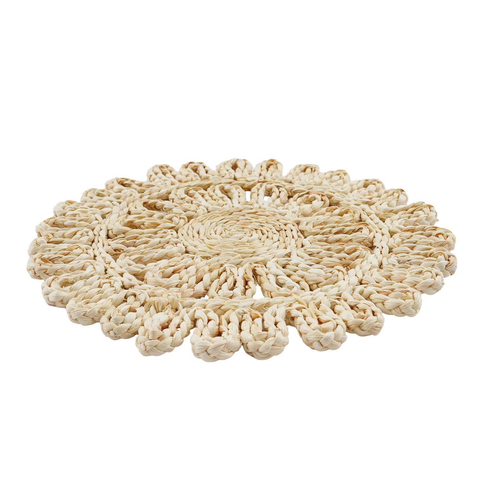 12Pcs Woven Rattan Placemat | Wayfair North America