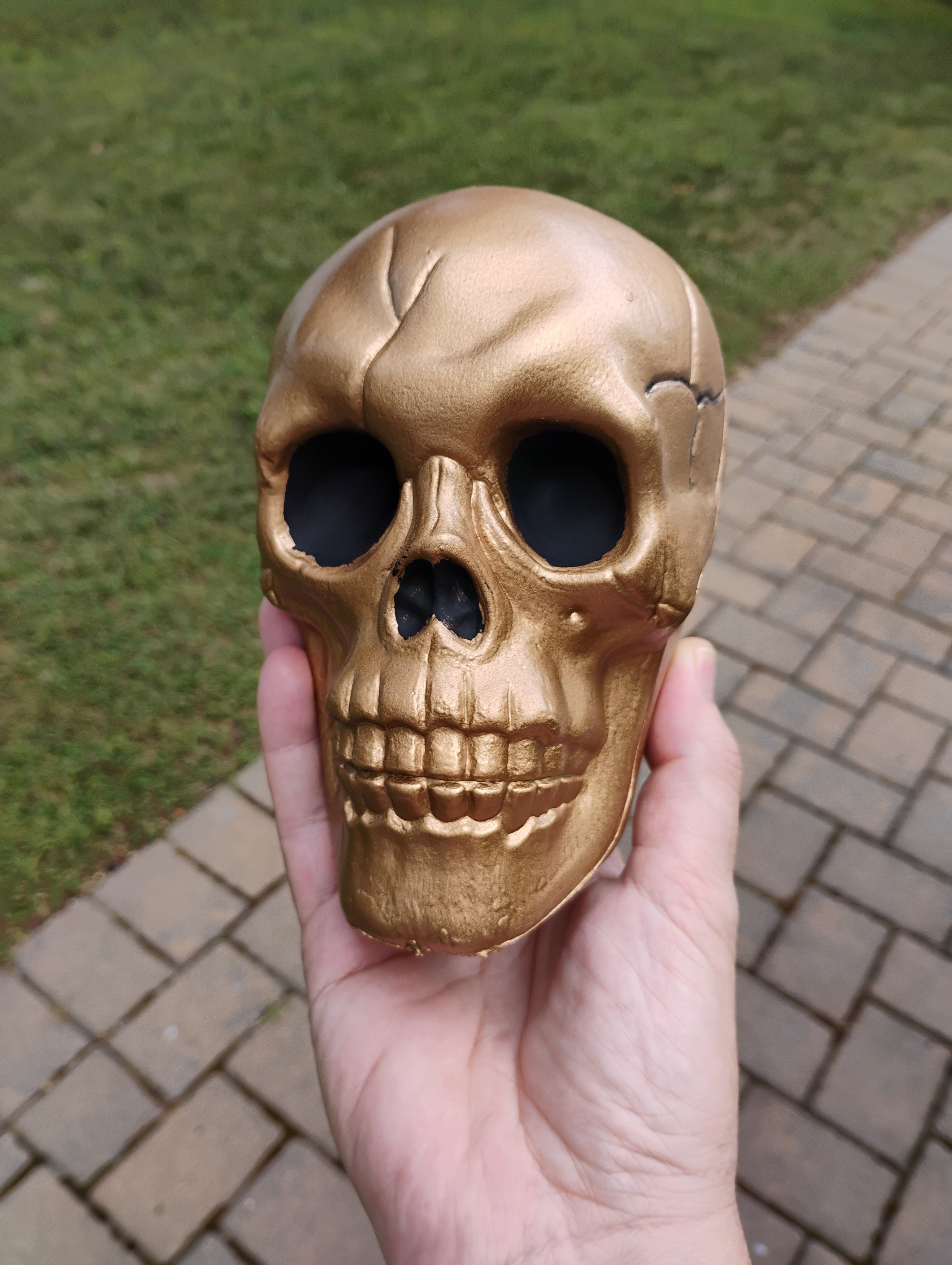 Elevate a Dollar Tree plastic skull with some gold and black paint.  Linking other plastic skulls.

#LTKSeasonal #LTKHome #LTKautumn