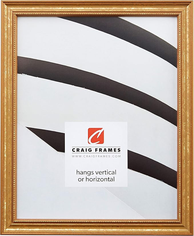 Craig Frames 314GD, Ornate Gold Picture Frame, 16 x 22 Inch | Amazon (US)