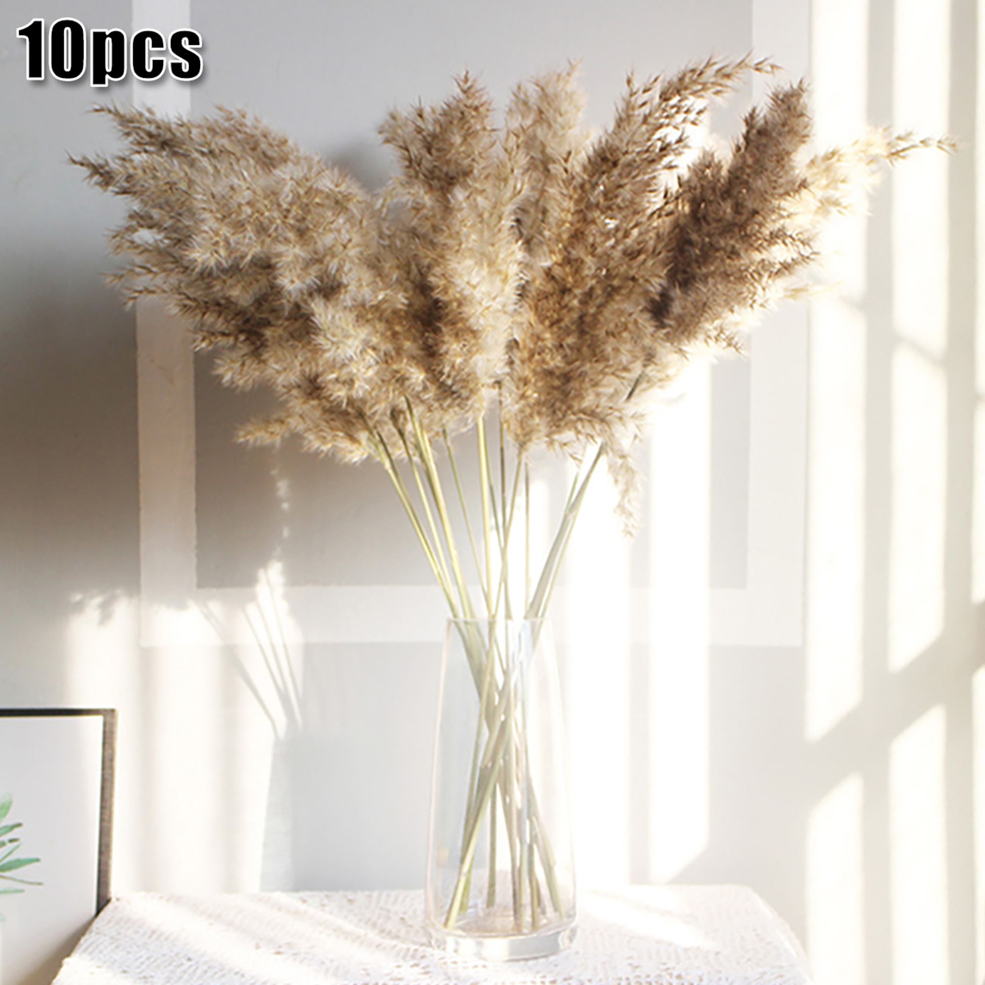 10 Pcs Natural Dried Pampas Grass Reed Flower Bunch Wedding Bouquet Decors | Walmart (US)