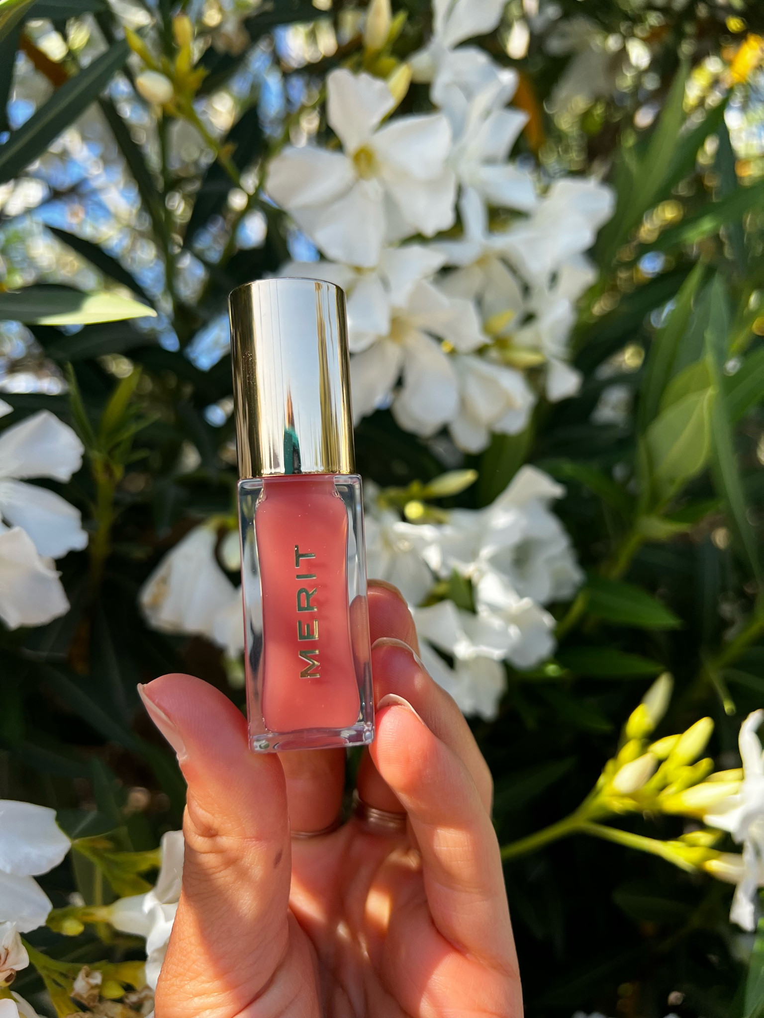 Merit lip geleés 💋 shade jeté 

#LTKunder50 #LTKbeauty