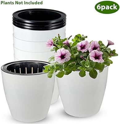 Self Watering Planter, ZOUTOG 6 inch African Violet Pots, White Flower Plant Pot for Various Plan... | Amazon (US)