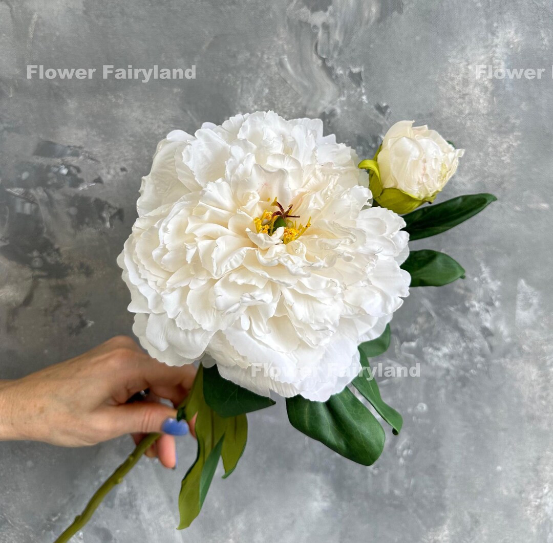 Dried Look Huge Peony With Bud Stem | High Quality Artificial Flower | Centerpieces | DIY | Weddi... | Etsy (US)