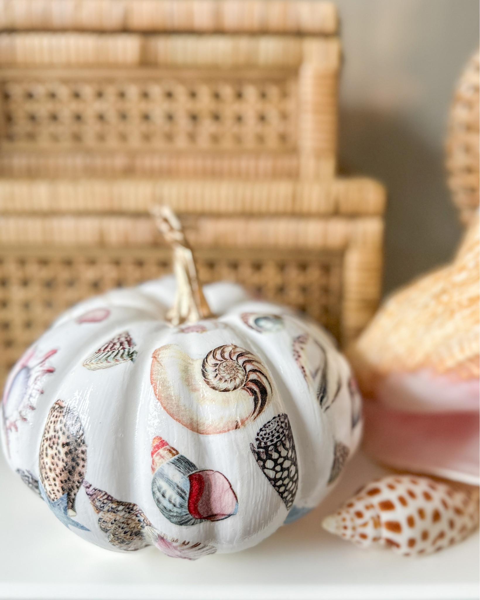 decoupage coastal pumpkin 🎃 so much fun - crafting is my stress reliever 
#coastalpumpkin #falldecor #shells


#LTKSeasonal #LTKunder50