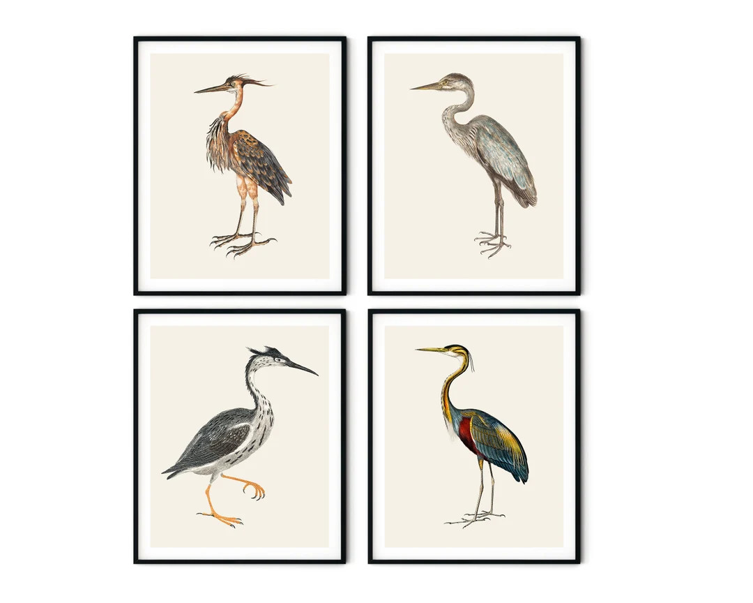 Vintage Heron Print Set of 4 Sea Bird Prints, Beach House Decor, Nautical Art, Tropical Decor, Co... | Etsy (US)