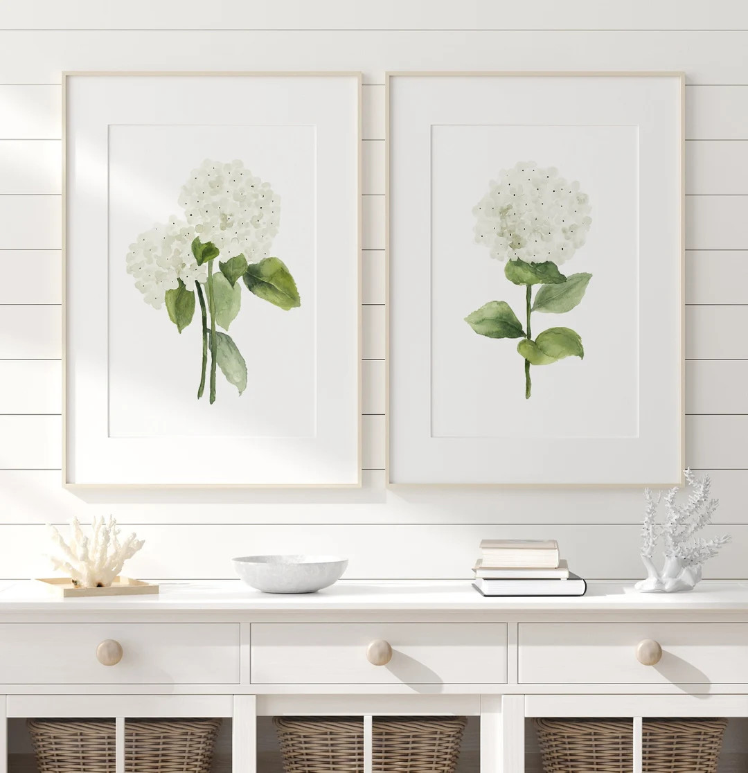 Hydrangea Annabelle Painting, Set of 2 Prints, Watercolor Illustration, Modern Hamptons Wall Deco... | Etsy (US)