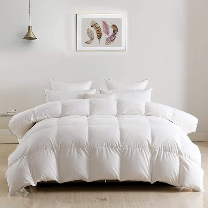 DWR Luxury Feathers Down Comforter Full/Queen, Hotel-Style Fluffy Goose Feathers Down Duvet Inser... | Amazon (US)