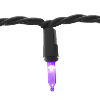 100L Purple Mini LED Lights | The Home Depot
