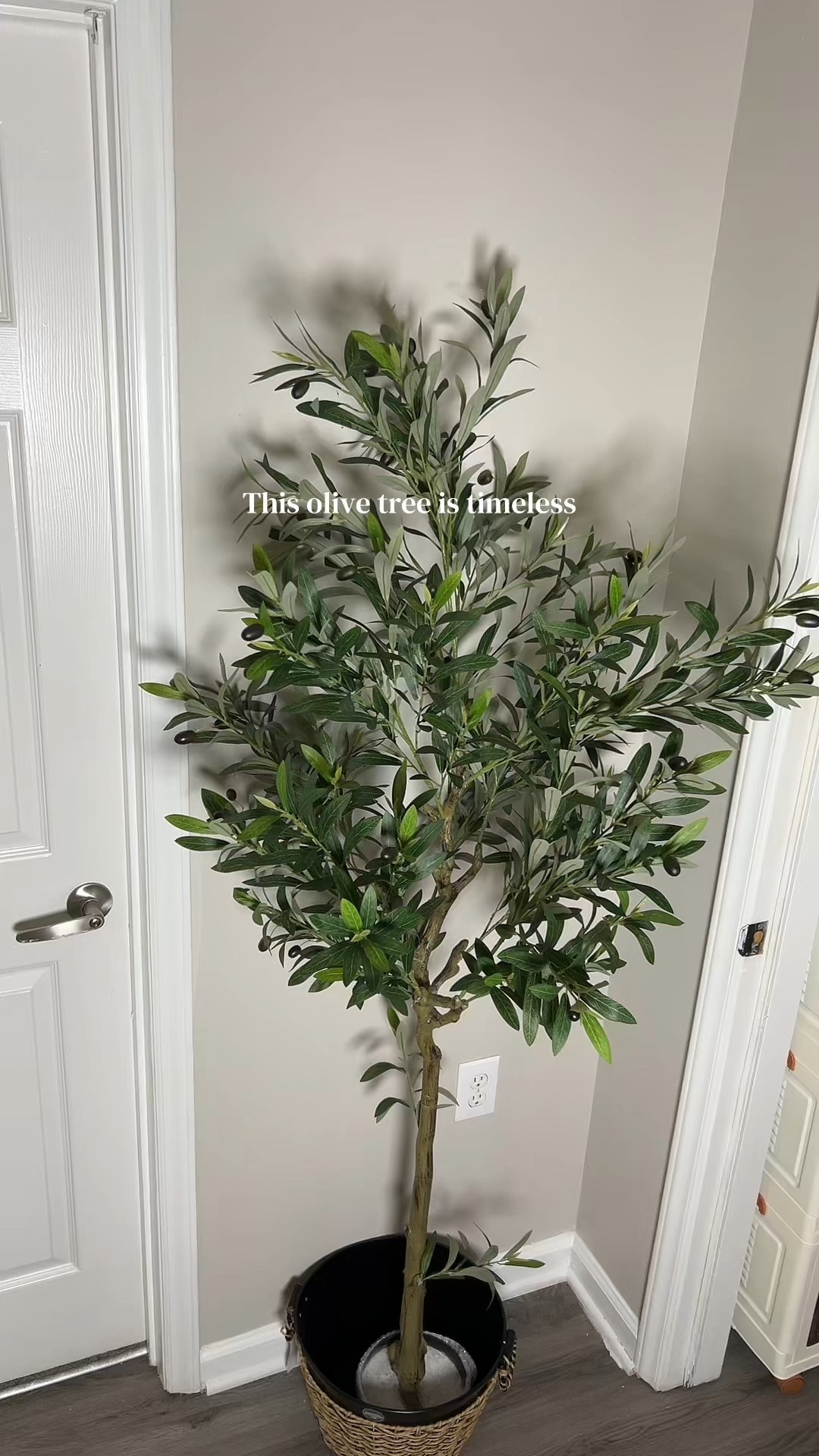 The beautiful olive tree is on sale 

#LTKHome #LTKSaleAlert #LTKSpringSale