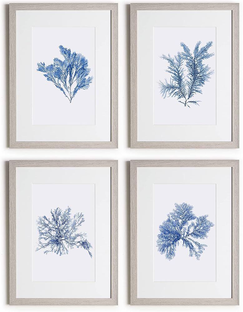 Framed Blue Coral Wall Art Set - 4 Pieces, 12x16 Inches, Coral Clipart in Blue Hues with Acrylic ... | Amazon (US)
