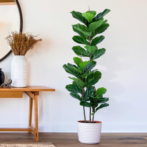 YEPDIN Artificial Fiddle Leaf Fig Tree 5FT Faux Fiddle Leaves Fig Tree Artificial Plants in Pot for Indoor Outdoor Fake Tree Plants | Amazon (US)