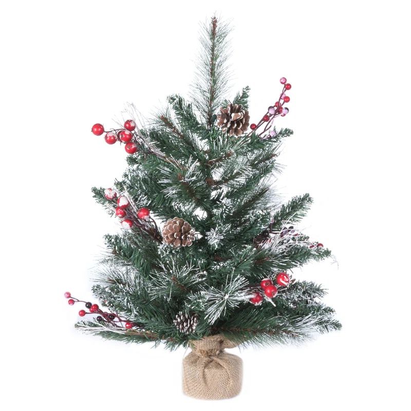 Snow Tipped Pine 2' Pine Christmas Tree | Wayfair North America