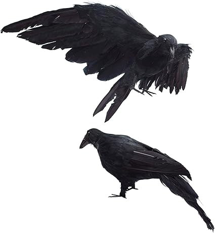 2-Pack Realistic Crows Lifesize Extra Large Handmade Black Feathered Crow for Halloween Decoratio... | Amazon (US)