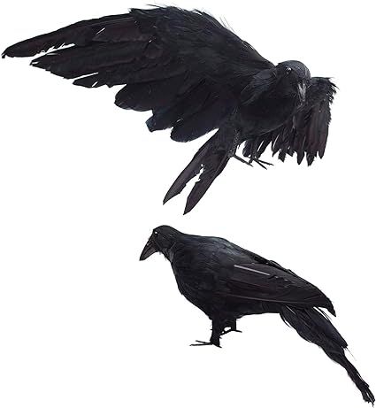 2-Pack Realistic Crows Lifesize Extra Large Handmade Black Feathered Crow for Halloween Decoratio... | Amazon (US)