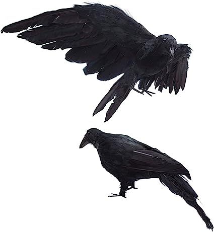 2-Pack Realistic Crows Lifesize Extra Large Handmade Black Feathered Crow for Halloween Decoratio... | Amazon (US)