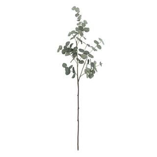 Green Eucalyptus Leaf Stem by Ashland® | Michaels Stores