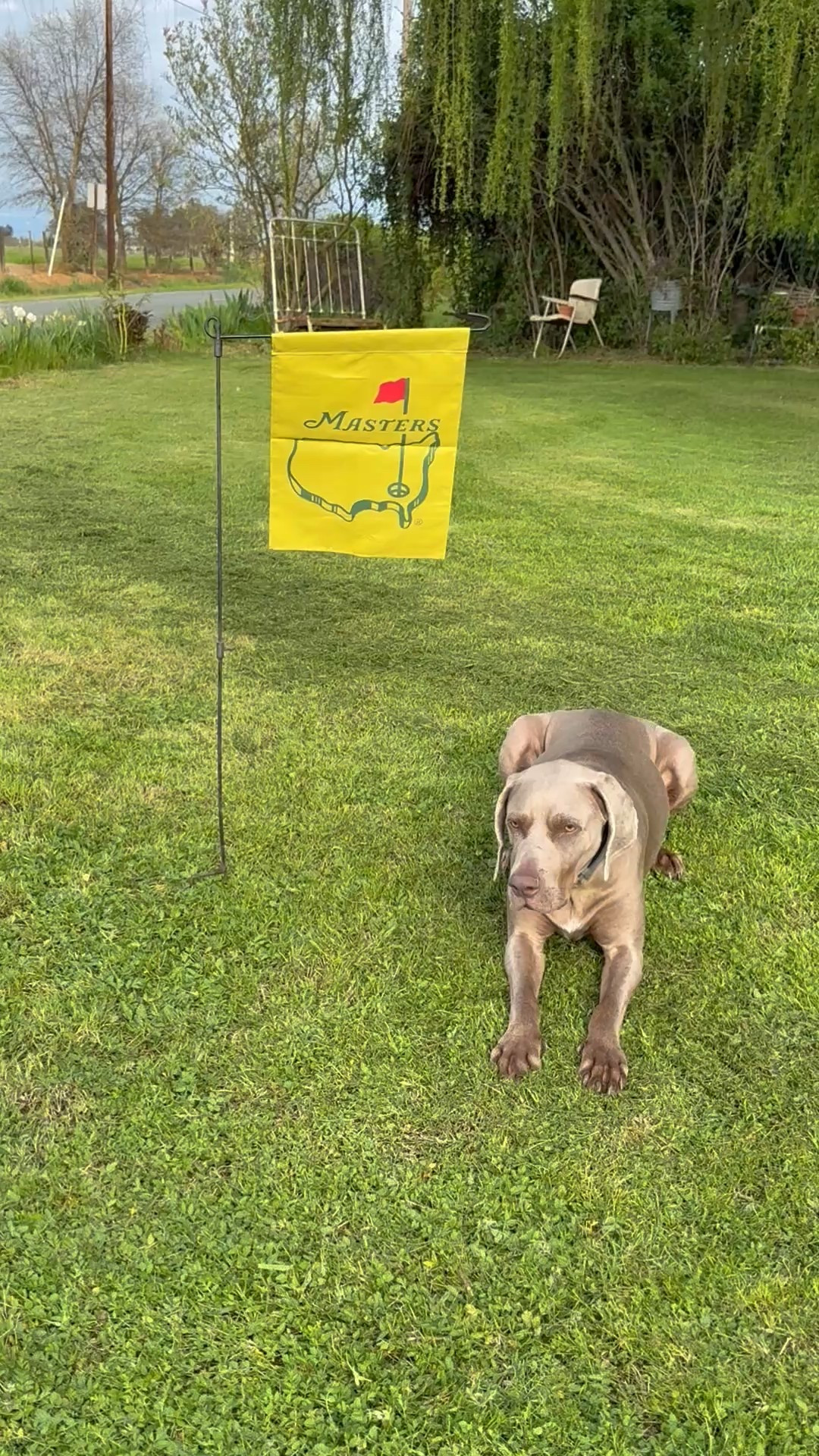 Masters golf tournament garden flag for your Masters party. It’ll also make a great Father’s Day gift for dad ⛳️ 

#LTKWatchNow #LTKHome #LTKParties