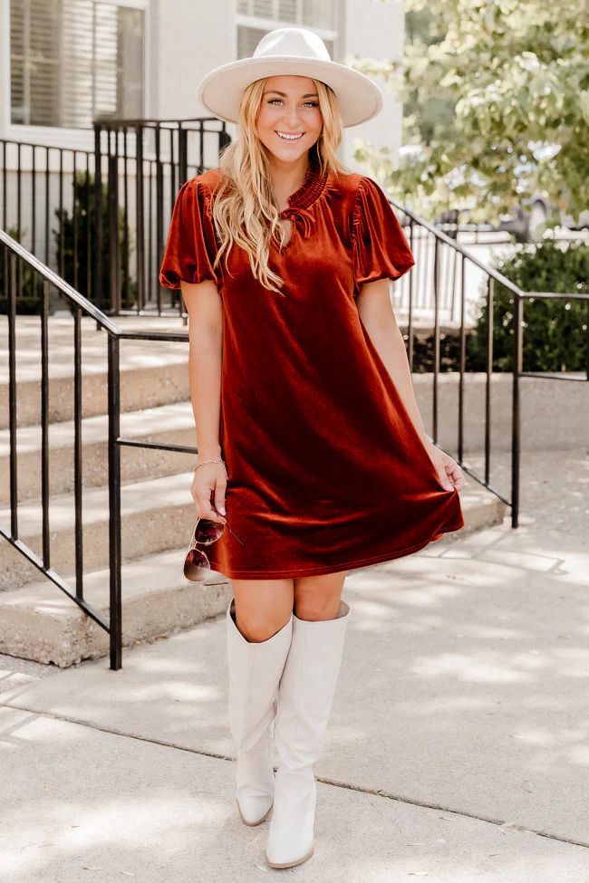 All Fall Long Rust Velvet Mini Dress | Pink Lily