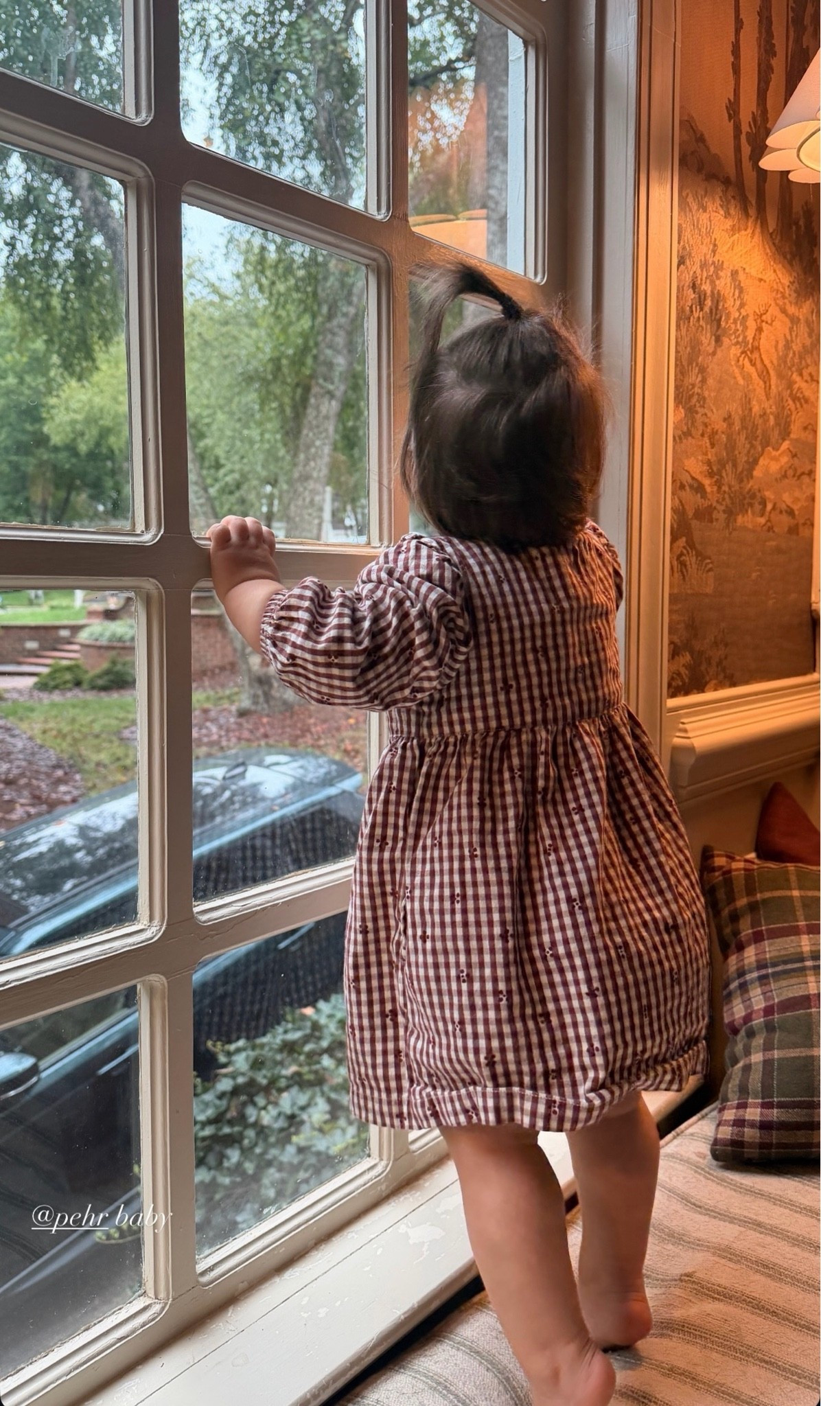 Gingham Fall dress🤎😍

#LTKBaby