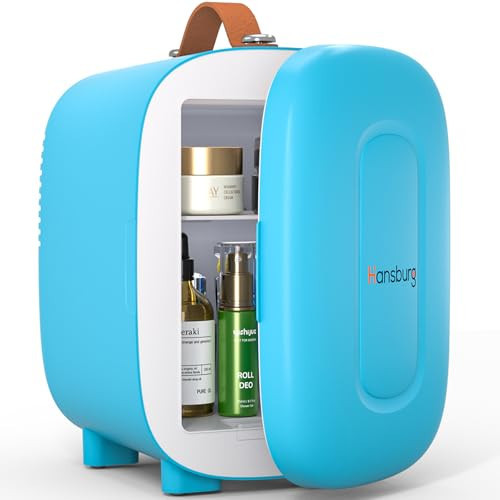 Hansburg Mini Fridge for Bedroom Skincare Cooler & Warmer Portable Small Refrigerator 4 Liter/6 can with 12v AC/DC/USB Option for Food, Drinks, Makeup, Dorm, Office and Car | Amazon (US)