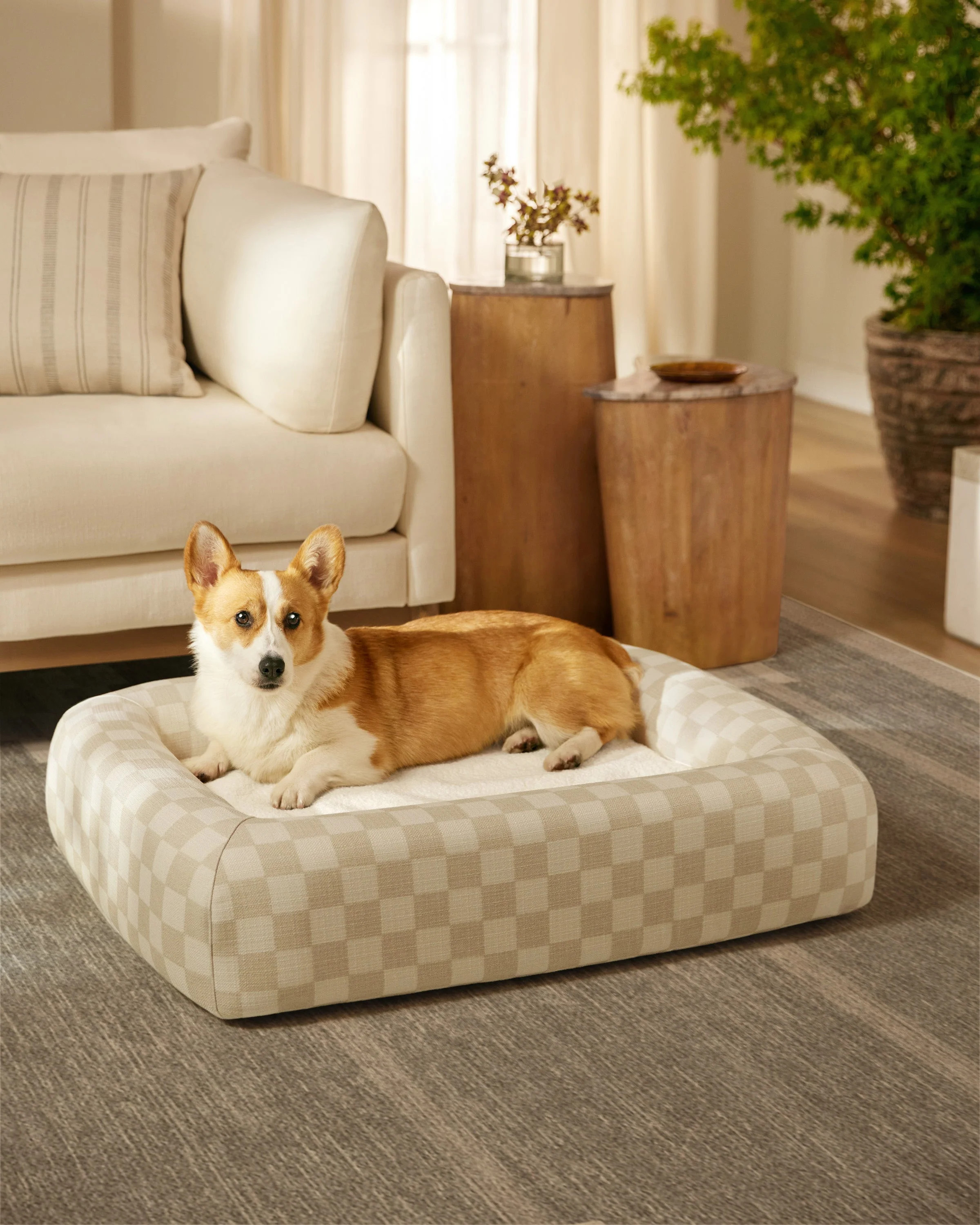 Charlee Checkered Neutral Woven Bolster Pet Bed | Ruggable