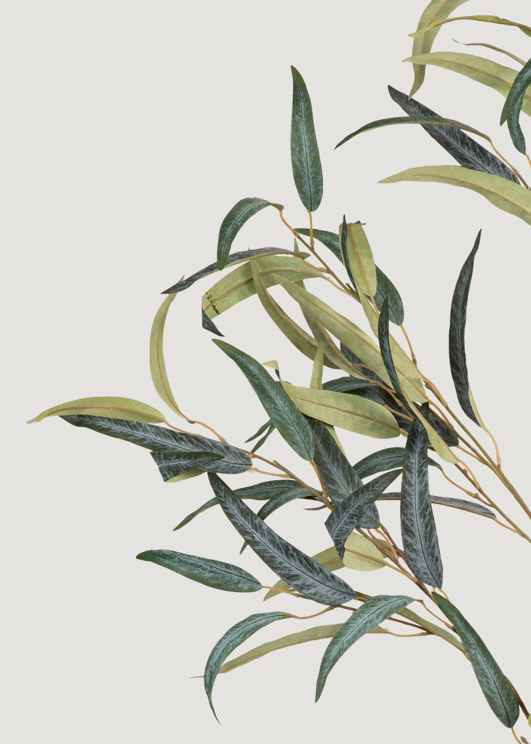 Deluxe Willow Eucalyptus Branch | Artificial Foliage at Afloral | Afloral