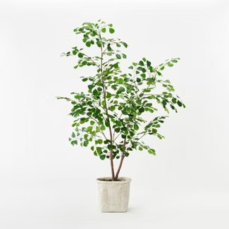 Triangle Ficus Tree - Threshold™ designed with Studio McGee | Target