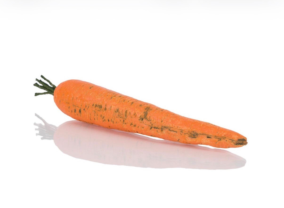 ceramic carrot- fake food plate wall
