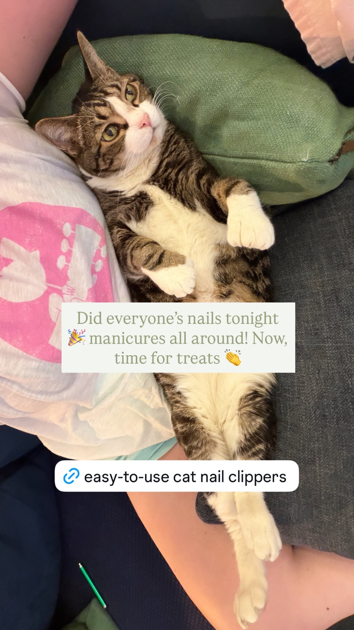 Easy to use pet nail clippers for cats 🐾 these are the easiest styles to use, in my experience !

#LTKFamily #LTKstorytime #LTKPets
