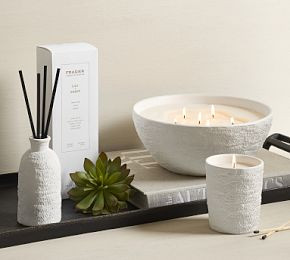 Frasier Scent Collection - Night Lily & Amber Oud | Pottery Barn (US)