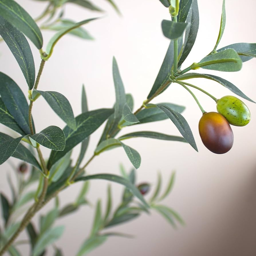 Nafresh Tall Faux Olive Tree，6Ft(72”) Realistic Potted Silk Artificial Olive Tree， Fake Oli... | Amazon (US)