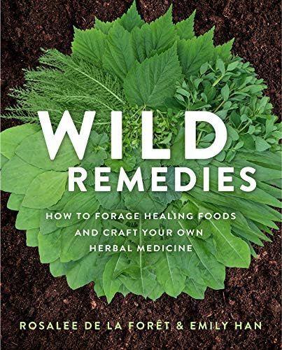 Wild Remedies: How to Forage Healing Foods and Craft Your Own Herbal Medicine | Amazon (US)