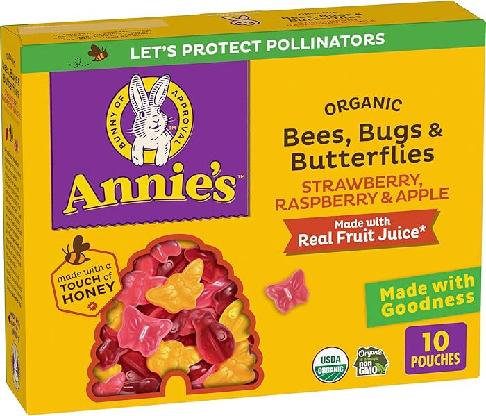 Annie's Organic Bees, Bugs, and Butterflies Fruit Flavored Snacks, 10 Pouches, 7 oz | Amazon (US)