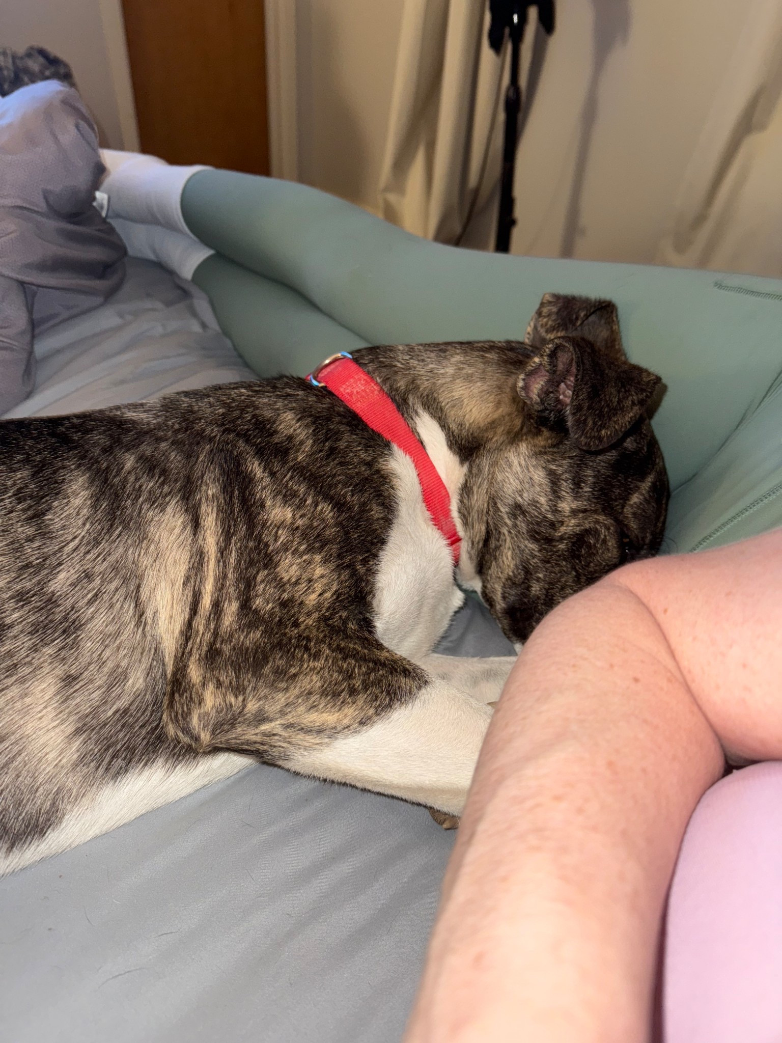 The sweetest pup 😍 my leggings are cute also 