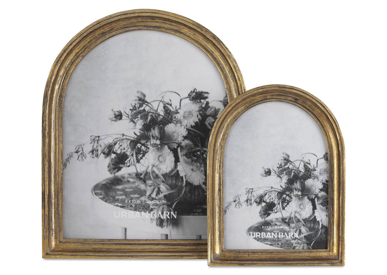 Letta Frames-Brass | Urban Barn