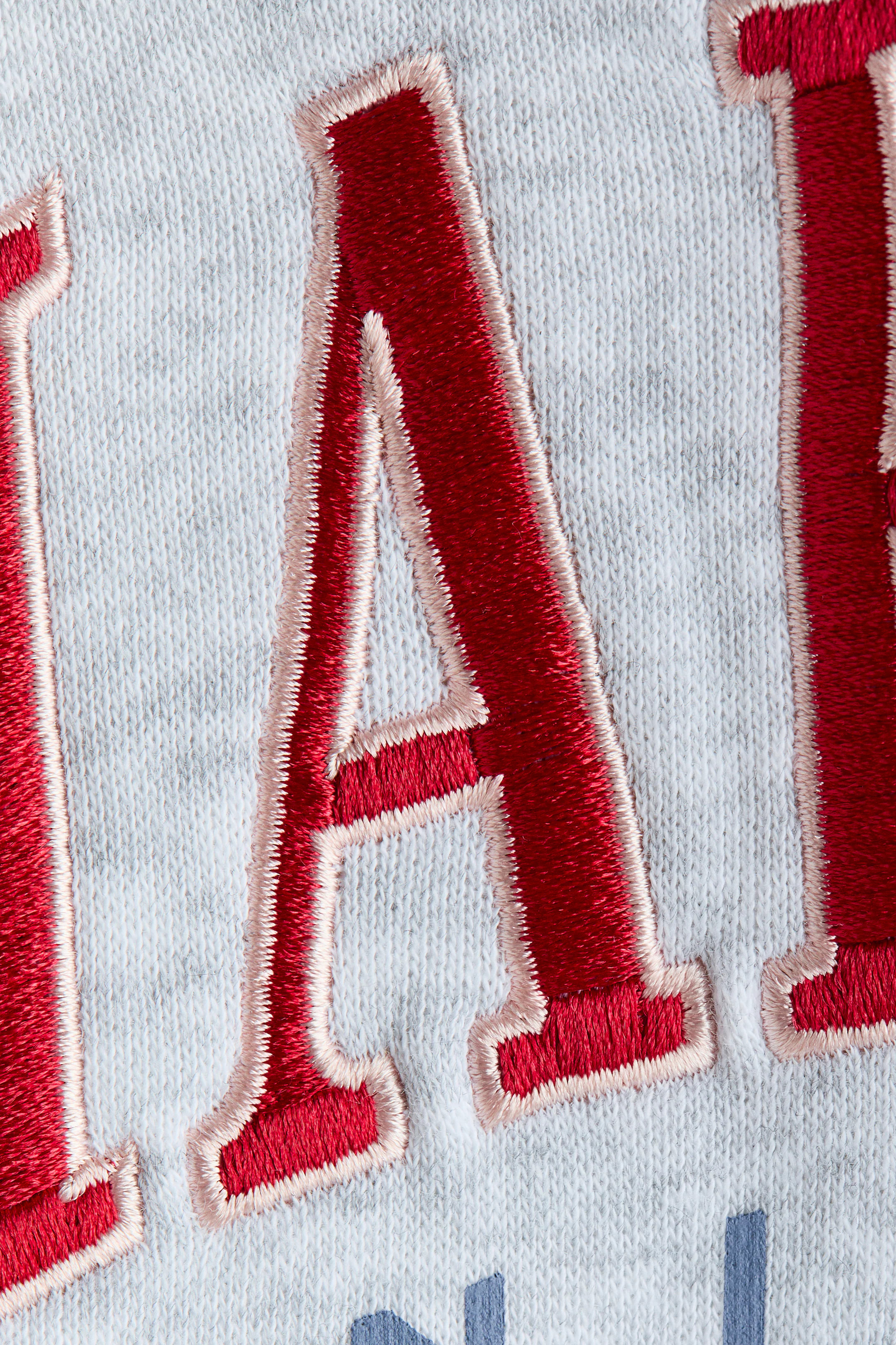 Embroidered Hoodie | H&M (US + CA)