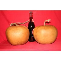 Gourds Set Of 10 - Apple Gourds | Dried & Cleaned | Etsy (US)