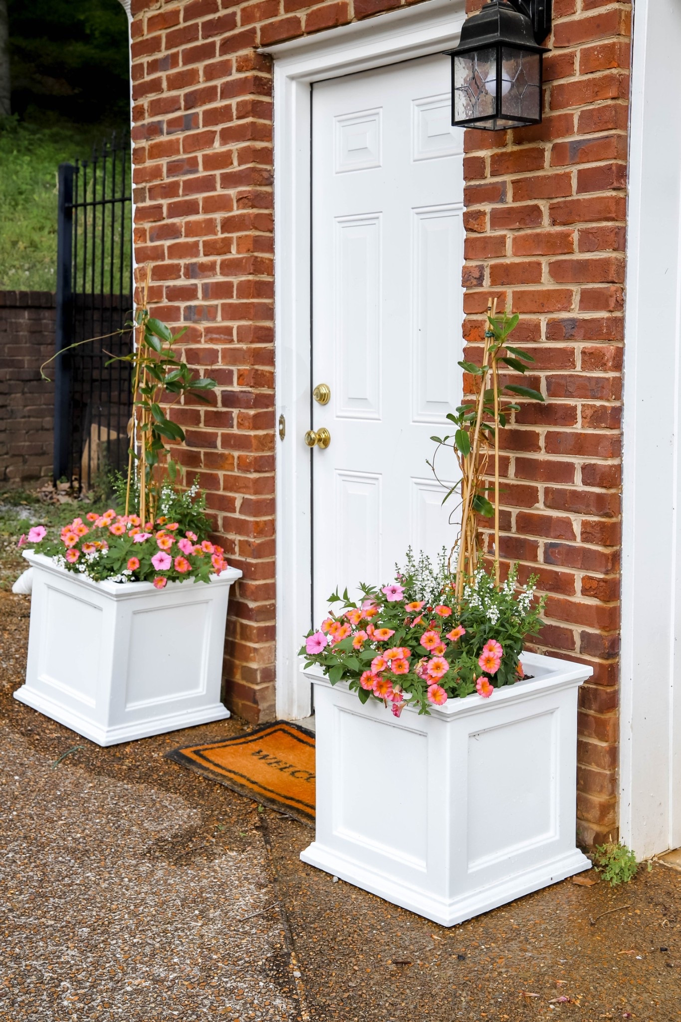 These planters look great at my backdoor entrance. 

#LTKHome #LTKSeasonal