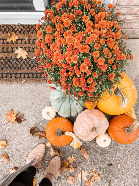 Fall front steps 

#LTKSeasonal #LTKshoecrush #LTKstyletip