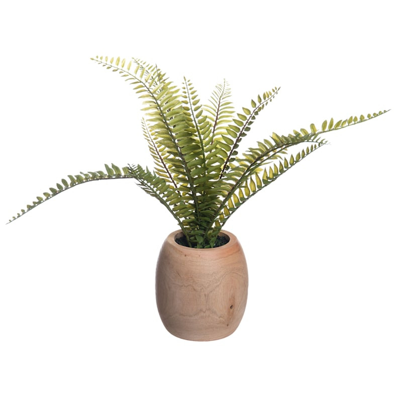 Fern Plant in Wood Pot, 12" | At Home