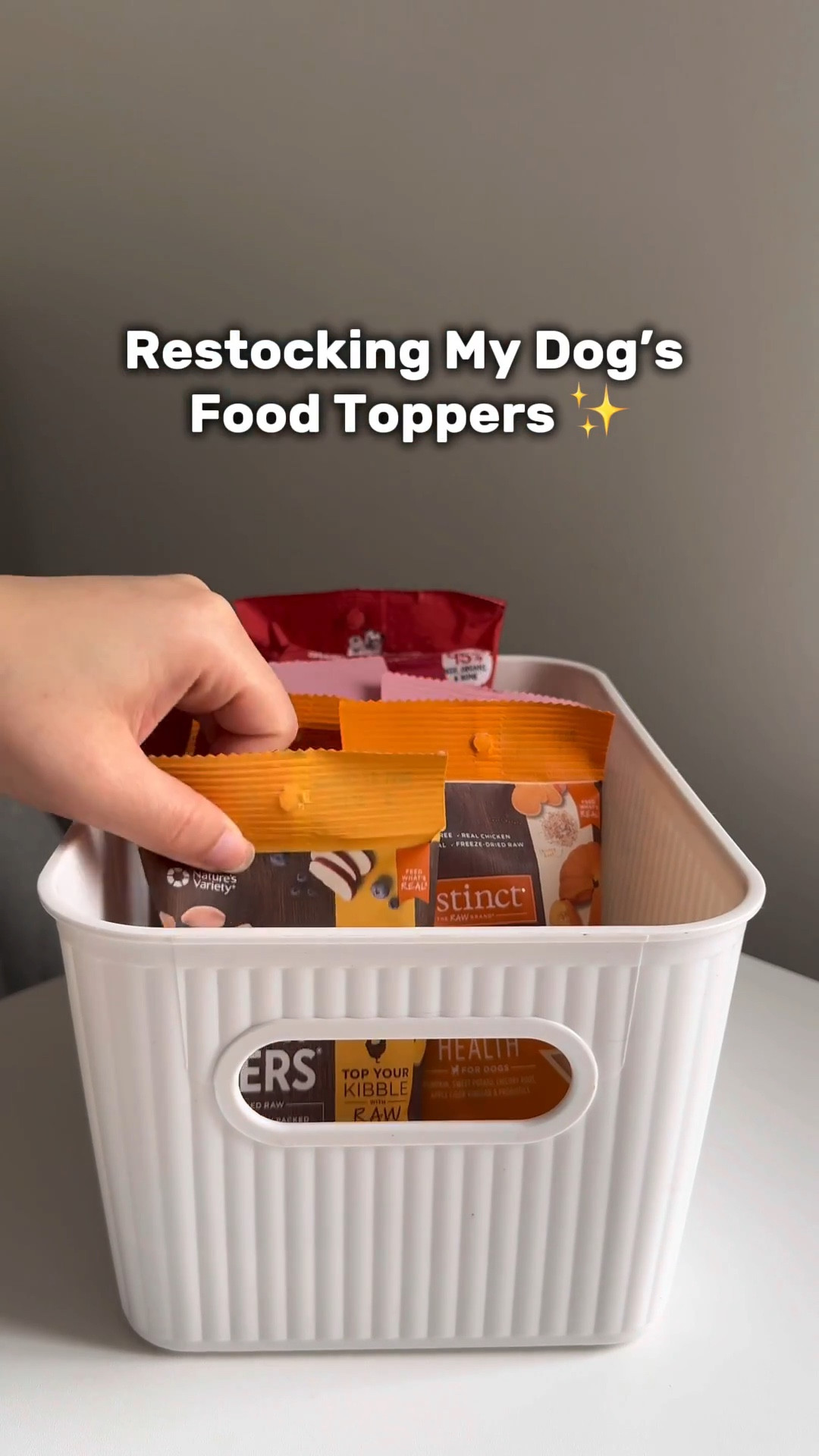 Organizing Rio's food toppers because this dog eats like he has a personal chef 😭🐶

Every single topper is from PetSmart 😌 And yes, l restock them like a proud dog mom with a tiny pantry obsession.

If your pup also eats better than you, welcome to the club! ✨

➡️ Follow for more dog mom life, French bulldog mix content, and satisfying restock videos! 💙


#LTKmomlife #LTKSaleAlert #LTKdayinmylife
