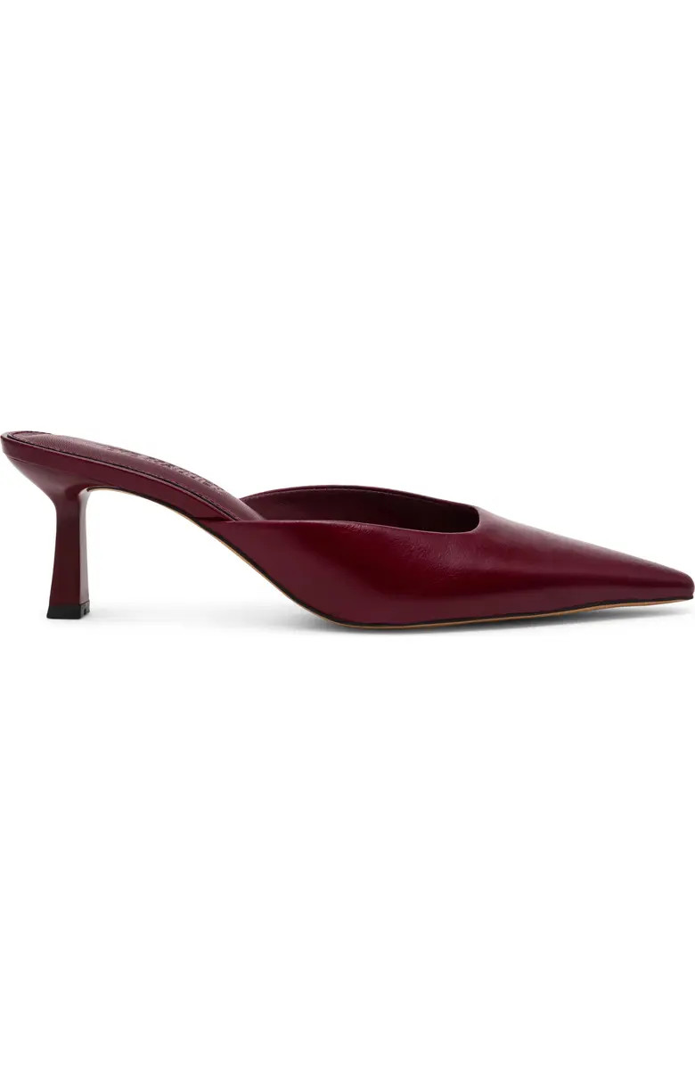 Steve Madden Lisbeth Pointed Toe Mule (Women) | Nordstrom | Nordstrom