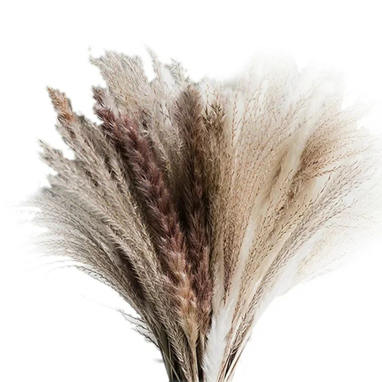 70 Pcs Pampas Grass Bouquet - Boho Fall Decor - Natural Dried Pampas Grass - Fluffy Pampas Grass ... | Walmart (US)