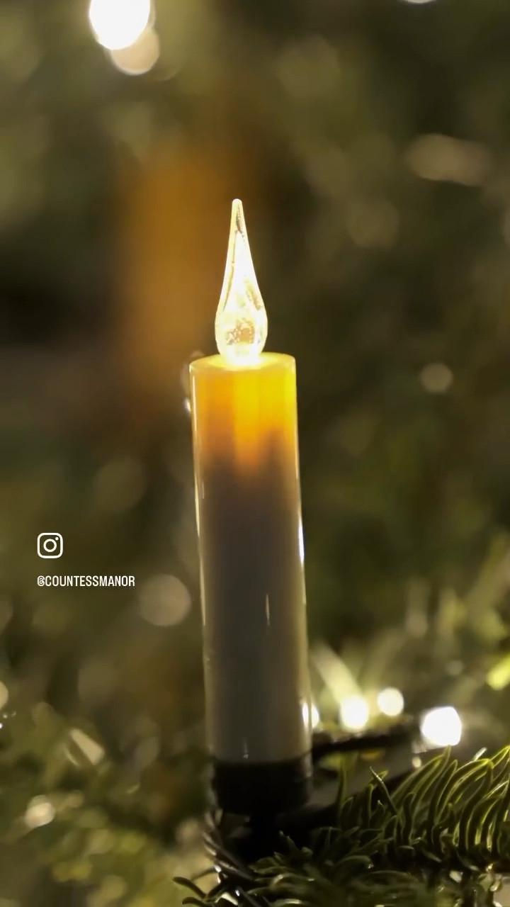 LED Christmas tree lights! 

#LTKSeasonal #LTKHoliday #LTKGiftGuide