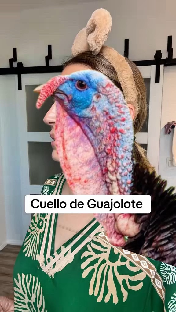 Cuello de Guajolote

#LTKselfcare #LTKOver40 #LTKBeauty