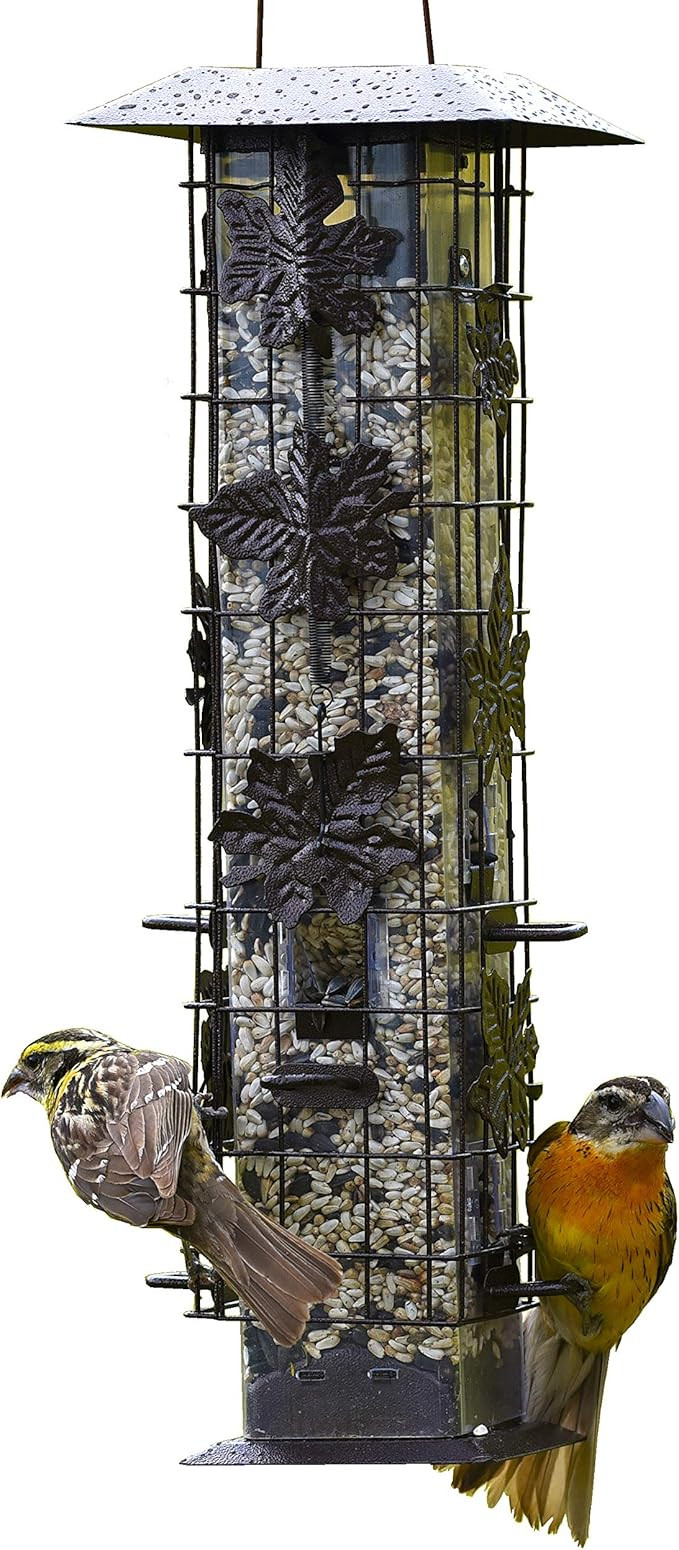 Perky-Pet 336-1SR Squirrel-Be-Gone Bird Feeder, 2LB Squirrel Proof Outdoor Wild Bird Feeder with ... | Amazon (US)