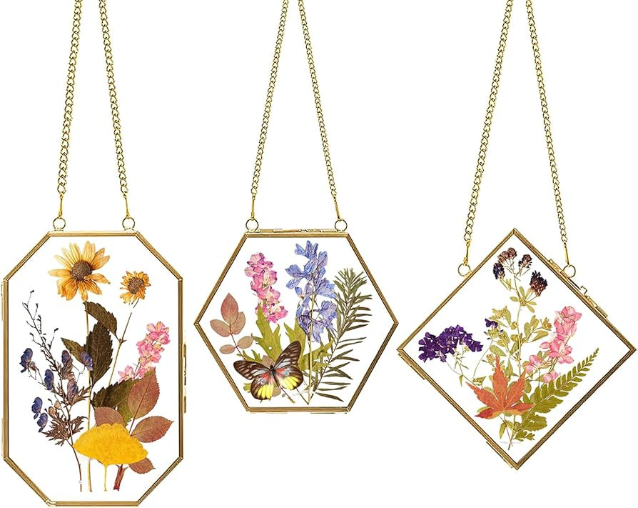 Apipi 3 Pcs Glass Frame for Pressed Flowers- Golden Hanging Glass Picture Frames with Chain- Hang... | Amazon (US)